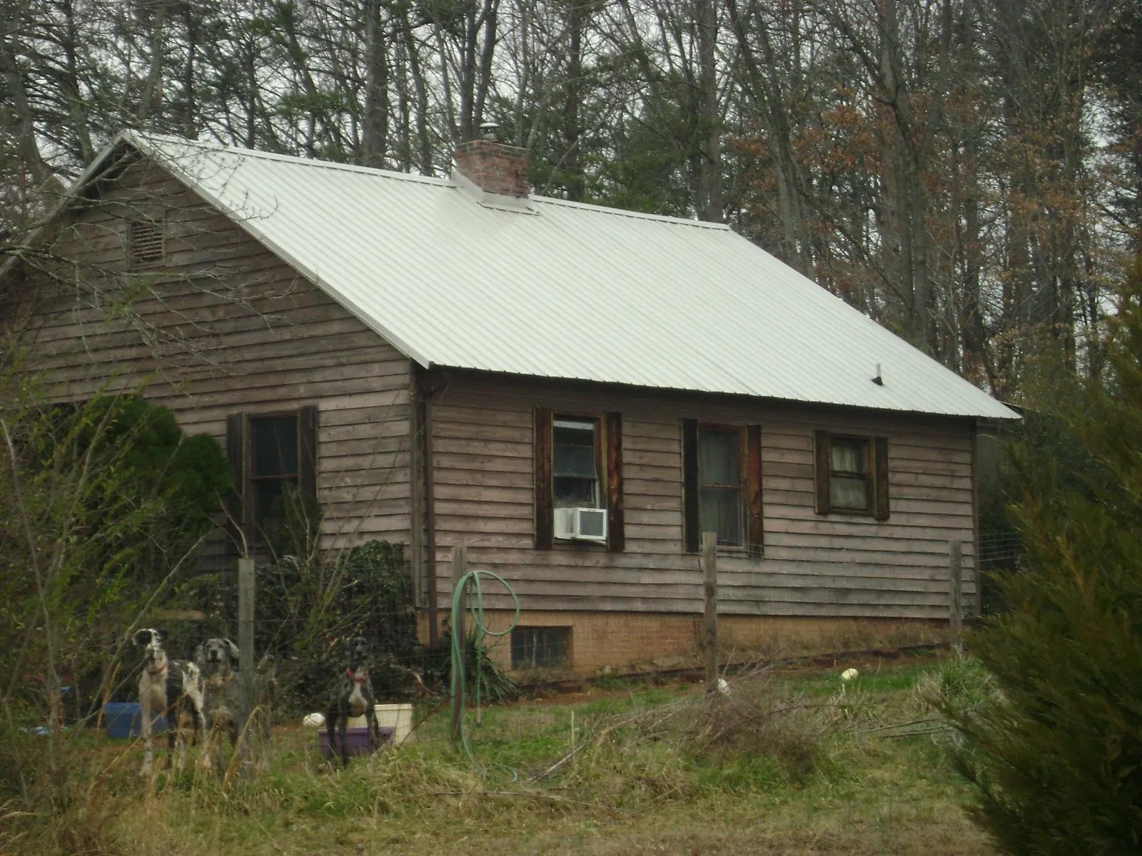 White metal roof on an old wood sided farmhouse, from a Asphalt Shingle Roof Repair job in Irondale